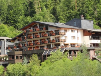 照片: M&amp;ouml;nch&amp;#039;s Waldhotel